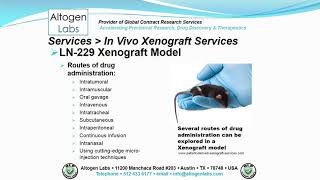 LN 229 Brain Cancer Xenograft Service [upl. by Hebbe]