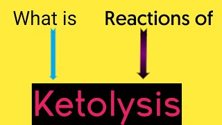 What is Ketolysis  Pathway II Ketone bodies utilisation II Why liver cant utilise ketone bodies [upl. by Erline]