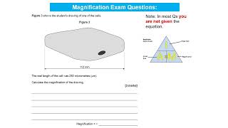 GCSE Biology RP1 Revision Video [upl. by Almeida529]