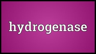 Hydrogenase Meaning [upl. by Akenal484]