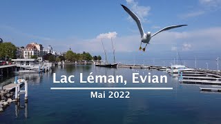 Evian lac Léman 🇫🇷 Mai 2022 drone DJI Mavic Mini [upl. by Drofxer473]