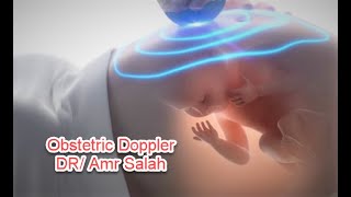 Obstetric Doppler How to do دوبلر الحمل فيديو للدكتور عمرو صلاح [upl. by Trainor182]