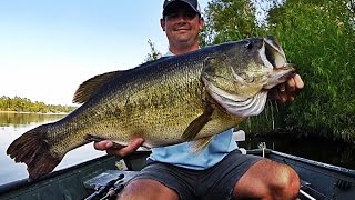 Topwater Bass Fishing Blowups Series 6  50 Big Bass Strikes [upl. by Ewolram]