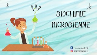 cour 1 partie 13biochimie microbienne  L3 microbio [upl. by Tanny]