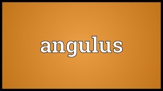 Angulus Meaning [upl. by Asillim786]