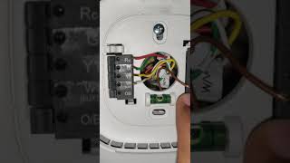 Connecting Humidifier to Ecobee [upl. by Husha565]