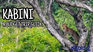 KABINI  A BUDGET TRIP GUIDE  IN KANNADA Dammanakatte KABINI KANNADA [upl. by Forcier]