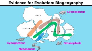 The Evolution of Populations Natural Selection Genetic Drift and Gene Flow [upl. by Ahterahs]