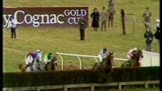 1986 Hennessy Cognac Gold Cup Handicap Chase [upl. by Anielram645]