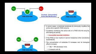 Basics of Drug Interactions EXPLAINED  Inhibition amp Induction [upl. by Netsreik]