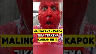 Maling Akan Kapok Jika Di Semprot Dengan Cairan ini‼️ [upl. by Gawen490]