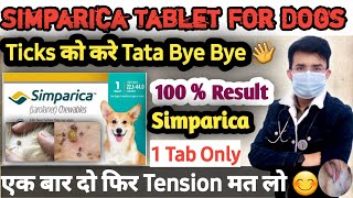 Simparica Tablet 💊 For Dogs  Ticks को करे Tata Bye Bye 👋  Dog Ticks Removal  100  Result dog [upl. by Asetal]