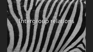 Intergroup relations [upl. by Nassah]