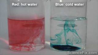 Food Coloring Diffusion [upl. by Bricker]