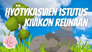 Hyötykasvien istutus kivikon reunalle [upl. by Xena]