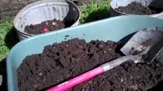 Easy DIY Garbage Can Potato Garden Planters  Repurposereuse [upl. by Ancelin]