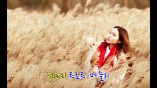 중년의 트로트 뽕짝 메들리 Korean trot song medley [upl. by Aonian102]