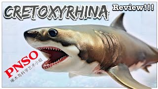 2021 PNSO Aidan the Cretoxyrhina Review [upl. by Sgninnej]