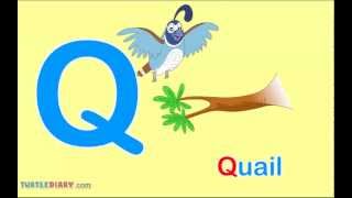 What Words Start With Letter Q Words For Toddlers [upl. by Janean]