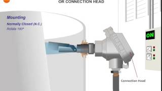 ICOS Level Switch for Mounting with Connection Head [upl. by Epolulot]