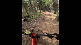 🎢Flow day🎢 mtb gopro downhill [upl. by Atnim]