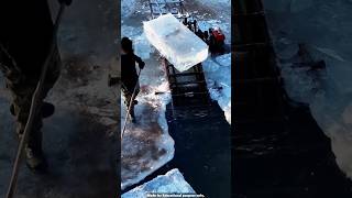 Ice farming in norway [upl. by Rhodie]