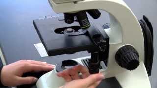 BIOLOGY 10  Basic Microscope Setup and Use [upl. by Airotciv743]