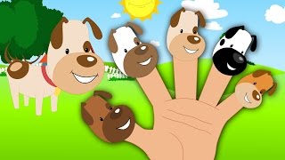 Dog Finger Family Nursery Rhyme Song  Childrens And Kids Rhyme [upl. by Akenn439]