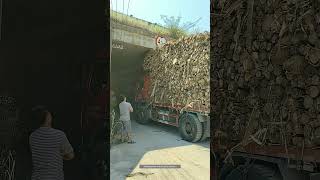 Process Of The Truck Loaded With Wood Passing Through The Bridge Opening [upl. by Sontag463]