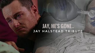 Jay Halstead Tribute 2  quotJay hes gonequot feat Will and Pat Halstead Chicago PD [upl. by Dunn]