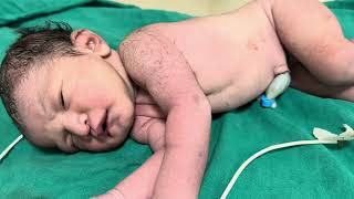 Newborn baby day12newborn mini vlog baby video [upl. by Annaierb]