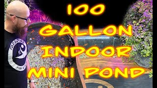 100 Gallon Mini Pond [upl. by Sclater]