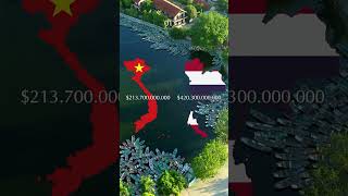 gdp of vietnam thailand 2000 2022 memes video viral fyp [upl. by Grodin]