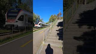 S6 in Riehen sbb cff ffs sbahn stadler trainspotting schweiz shorts yt [upl. by Woothen]