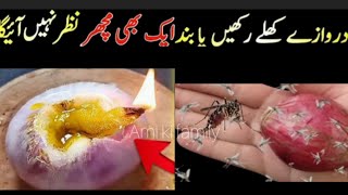 Get Rid Of Mosquitos  Machar Bhagane Ka Tarika  Mosquito Killer Homemade [upl. by Rastus]