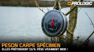 Peson carpe Spécimen de Prologic [upl. by Adyaj]