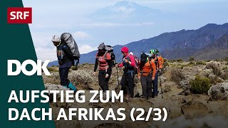 Abenteuer Kilimandscharo – Auf Expedition in Tansania 23  DOK  SRF [upl. by Wahlstrom]