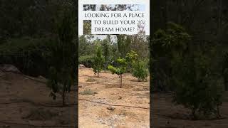 farmhouse plots for sale in gated community near bangalore south  2024  4 [upl. by Edin323]