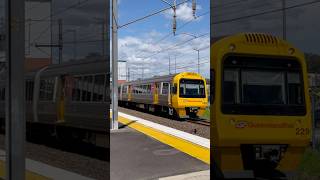 Caboolture SMU229246 passing Carseldine station with horns [upl. by Leuamme242]