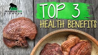 TOP 3 Health Benefits of Reishi Mushroom [upl. by Noy783]