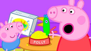 Polly el loro se va de vacaciones  Peppa Pig en Español Episodios Completos [upl. by Siloam]