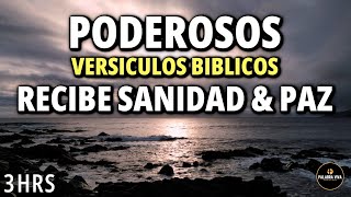 Poderosos Salmos y Versículos Bíblicos para Dormir y sentir paz  Biblia Hablada [upl. by Nace]