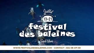 🌊🐋 FESTIVAL DES BALEINES 2024 🐋🌊 [upl. by Teyut]