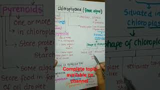 Chlorophyceae Green Algae part1neet2024algaeplantkingdomclass11shortsytshorts biologycbse [upl. by Junieta]