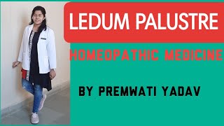 Homeopathy medicine Ledum PALUSTRE in Hindi by Premwati Yadav [upl. by Aniarrol30]