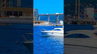 Cabin cruiser in the marina shorts boat powerboat hd summer [upl. by Ynafetse853]