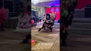 Lion Dance Ceremony [upl. by Ahsi]