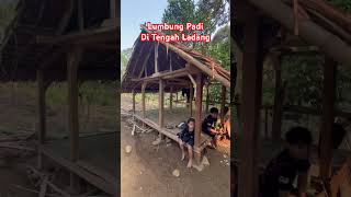 Lumbung Padi Disimpannya di Ladang baduydalam baduycantik baduy baduyluar [upl. by Coffee]