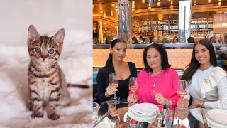 VLOG  WE GOT A NEW KITTEN  CELEBRATING OUR MUMS BDAY [upl. by Llehsyar]