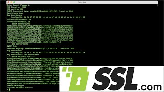 How to Export Certificates and Private Key from a PKCS12 File with OpenSSL [upl. by Orsini]